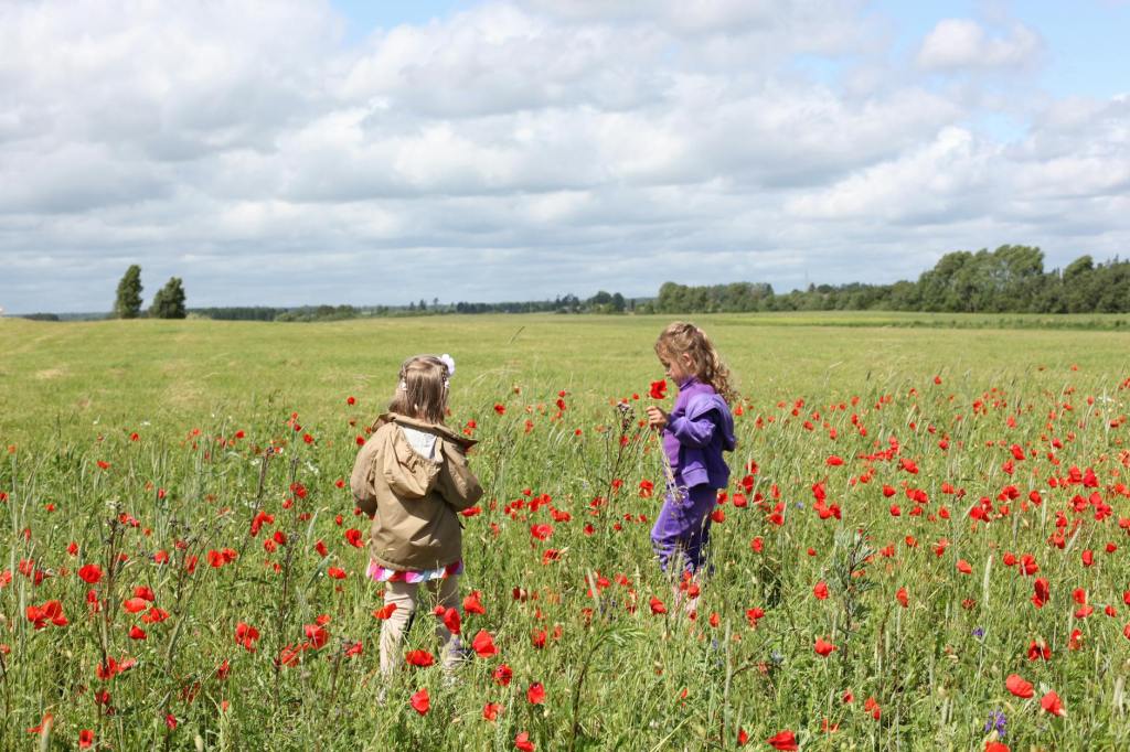 Aktivne poletne počitnice, markovci, 2281
Naše 5-dnevne poletne aktivne počitnice za otroke, ki potekajo v Markovcih, so zapolnjene s pestrim programom zabavnih, poučnih in nepozabnih aktivnosih. Za vaše otroke poskrbimo, da so fizično, kreativno in miselno aktivni.
Primer aktivnosti med počitniškim varstvom
prihod otrok
spoznavne igre, zbujanje ob jutranji telovadbi, pravljica za najmlajše
zajtrk
sprehodi po naravi, bližnji okolici, izleti, obiski kulturnih in drugih ustanov, tematske
delavnice, kvizi….
malica
športne igre (elementarne, štafetne, igre za sprostitev), igre na igrišču
kosilo
delavnice povezane z dnevnim programom, športne in gibalne igre, prosta igra,
pravljice za najmlajše, za malo starejše pa pol urne delavnice, kjer bomo skozi igre
ponovili angleški jezik in se malo spomnili tudi na matematiko
odhod domov
Skozi program počitniških animacij nas bodo obiskali: policija, rdeči križ, gasilci, društvo Pepsons eksotične živali, kakšna
zanimiva oseba,..
Mi, pa bomo obiskali: Čebelarsko društvo Markovci, Kinološko društvo Ptuj, Lovsko društvo Markovci,..Aktivnosti
vodena telovadba,
namizne družabne igre (človek ne jezi se, štiri v vrsto, activity, monopoly, igre ujemanja, gradbeni bloki,ugani kdo sem, drevo ravnovesja, igre ravnotežja, uno, igre s kartami,…)
zunanje družabne igre (keglanje, streljanje z lokom, twister, pikado, curling,…)
športne igre (elementarne, štafetne, igre za sprostitev, spretnostne igre in poligoni)
odbojka, nogomet, badbinton, košarka,..
igre z vodo,
izleti v naravo,
orientacijski pohod,
mini KINO, mini DISCO
Ustvarjalne delavnice, kjer bomo otroci krepili in spoznavali svojo ustvarjalnost:
Likovne delavnice
Ročne spretnosti
Delavnice iz naravnega in/ali recikliranega materiala,
Pomembno za starše
otroci morajo imeti zraven osebno in zdravstveno izkaznico
nahrbtnik
zraven naj imajo bidon ali flaško za vodo
oblačila in obutev naj bodo primerna predvsem za športne aktivnosti,
kopalke, brisača (se dogovorimo en dan vnaprej, ko bomo izvajali vodne aktivnosti)
copati za notranje prostore
sprej za klope in komarje
priporočamo tudi pokrivalo in sončna očala,
morebitna zdravila (obvezno z vašimi pisnimi navodili, ki jih prvi dan predate animatorju)
Aktivne poletne počitniške animacije se izvedejo v primeru dovolj
prijavljenih otrok.
Število mest je omejenih.
aktine poletne počitniške animacije
animatorji, markovci, okolica ptuja, OŠ Markovci, občina markovci
otroške animacije petra
otroške animacije, animacije za otroke